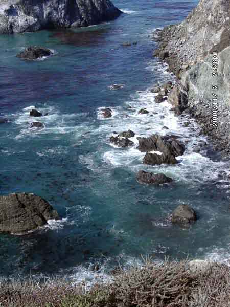 Image of 11020059.jpg