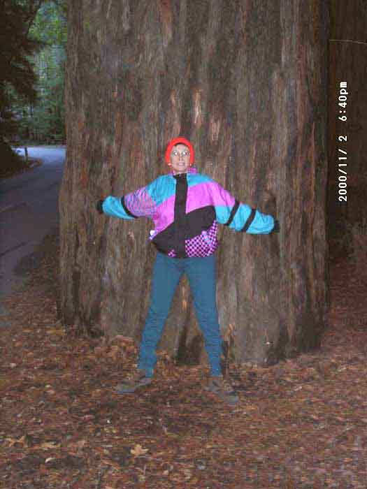 Image of 11020078.jpg