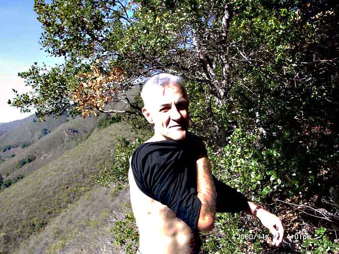 Image of 11040010.jpg