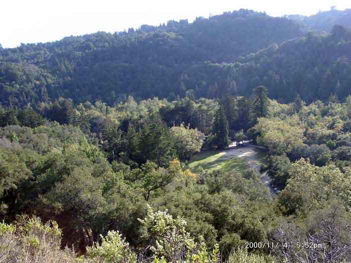 Image of 11040014.jpg